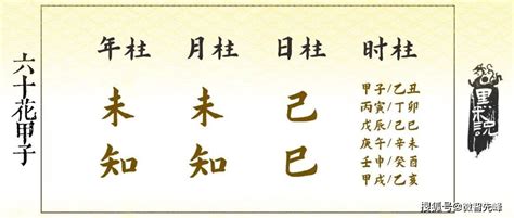 日柱 己巳|八字干支解讀——己巳：干支里的“兩頭蛇”，變化多端。